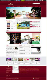 大連新圖聞科技 一站式互聯網信息服務與網站建設解決方案